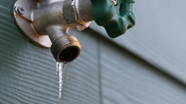 Best Shower Repair Services  in Nibley, UT